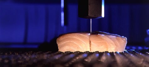 Food Water Jet Cutting